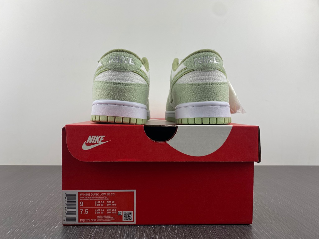 Dunk Low SE DQ7579-300